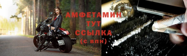 молекула духа Михайлов