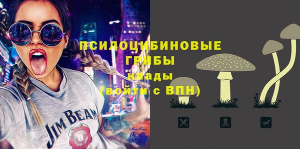 бошки Алексин